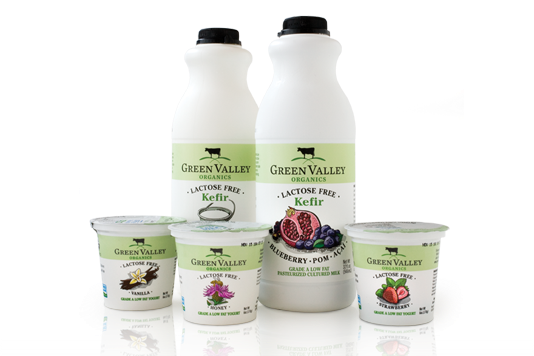 Green Valley Organics Kefir bottles and 6 ounce yogurt cups.